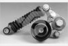 HUTCHINSON T5030 Tensioner Pulley, v-ribbed belt